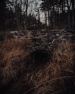 Image post by @kpearsonmedia on Instagram
