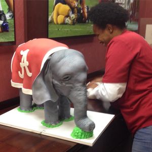 Image post by @alabamafbl on Instagram