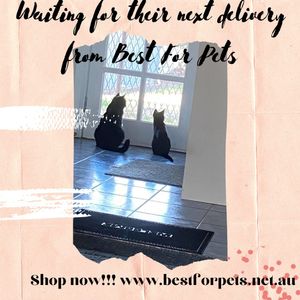 Image post by @bestforpetsmelb on Instagram