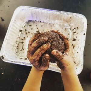 Image post by @kidsgardening on Instagram