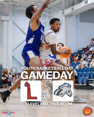 Image post by @leeumbb on Instagram
