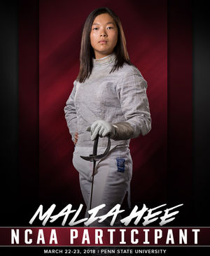 Image post by @templefencing on Instagram