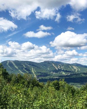 Image post by @themainemag on Instagram