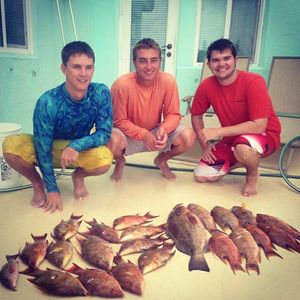 Image post by @austin.tharp_ on Instagram