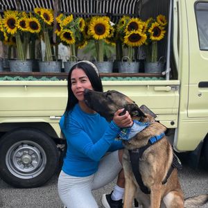 Image post by @indiapaulino on Instagram