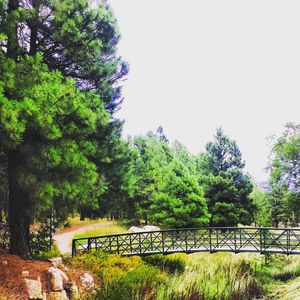 Image post by @nauflagstaff on Instagram