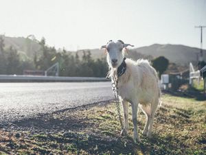 Image post by @arianneprendesfotos on Instagram