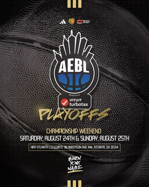 Image post by @aeblhoops on Instagram