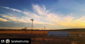Image post by @realdonaldtrump on Instagram