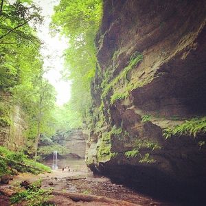 Image post by @amandabolinphotography on Instagram