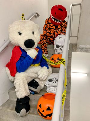 Image post by @CarltonTheBear on Twitter