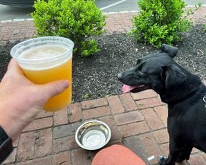 Image post by @reconbrewing on Instagram
