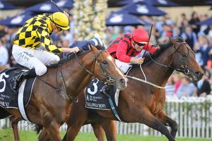 Image post by @australianturfclub on Instagram
