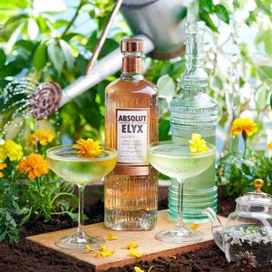 Image post by @absolutelyx on Instagram