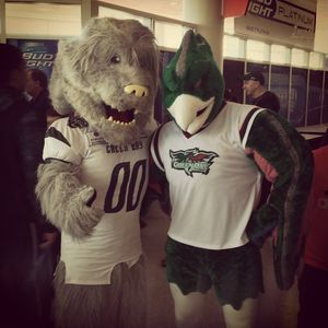 Image post by @greenbayblizzard on Instagram