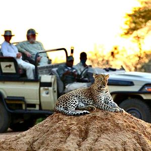 Image post by @chiawasafaris on Instagram