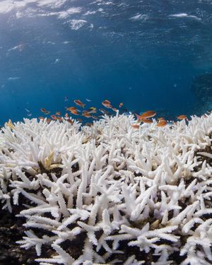 Image post by @wsloneocean on Instagram