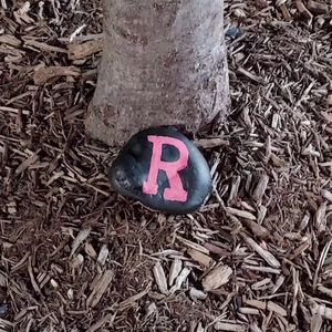 Image post by @rustudenthealth on Instagram
