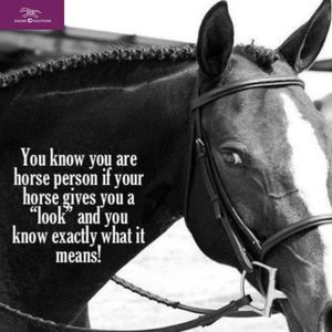 Image post by @equineidsolutions on Instagram