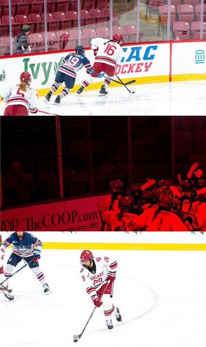 Image post by @HarvardWHockey on Twitter