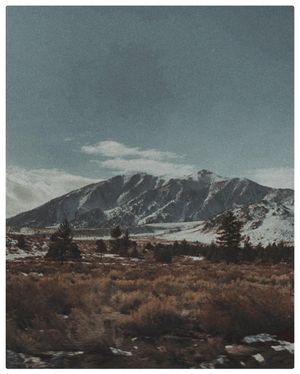 Image post by @gusj714 on Instagram