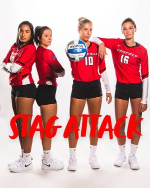 Image post by @stagsvb on Instagram