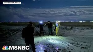 Video post by @msnbc on YouTube