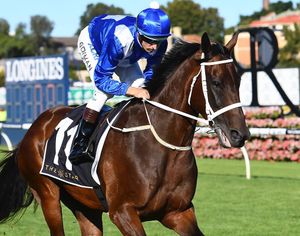 Image post by @australianturfclub on Instagram