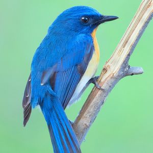 Image post by @discovery on Instagram