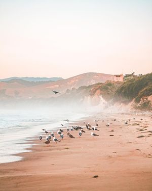 Image post by @7dreamvisuals on Instagram