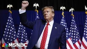 Video post by @msnbc on YouTube