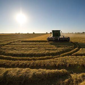 Image post by @lundbergfarms on Instagram