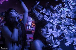 Image post by @nocturnalwland on Instagram