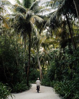 Image post by @comohotels on Instagram