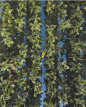 Image post by @dronepals on Instagram