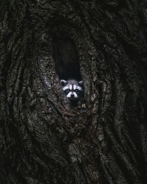 Image post by @discovery on Instagram