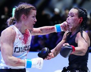 Image post by @karatecombatbr on Instagram