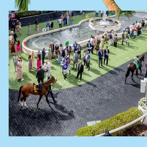 Image post by @pegasusworldcup on Instagram