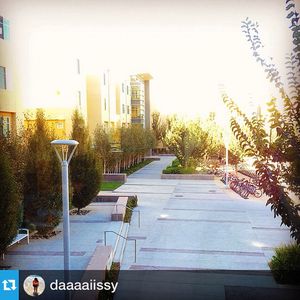 Image post by @ucdavishousing on Instagram