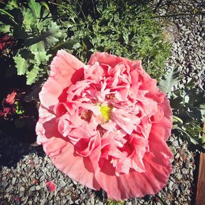Image post by @hollysmee on Instagram