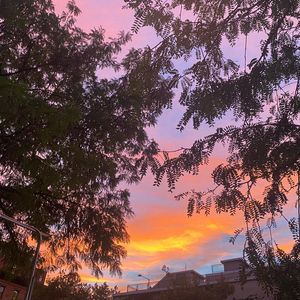 Image post by @jalynmarienyc on Instagram