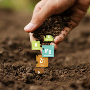 Image post by @crop_nutrition on Twitter