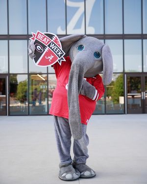 Image post by @univofalabama on Instagram
