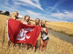 Image post by @wsukappa on Instagram