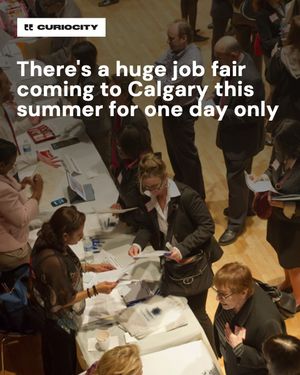 Image post by @curiocitycalgary on Instagram