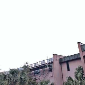 Image post by @collegeofcharleston on Instagram