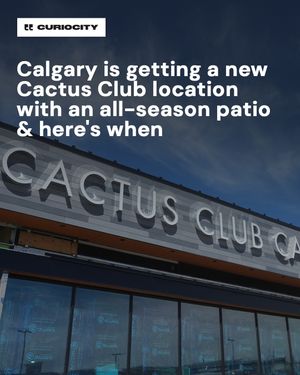Image post by @curiocitycalgary on Instagram