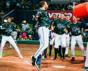 Image post by @hartfordyardgoats on Instagram
