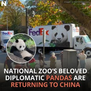 Image post by @nextshark on Instagram