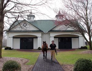Image post by @spendthriftfarm on Instagram
